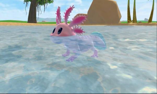 创造与魔法顽皮蝾螈在哪刷新3