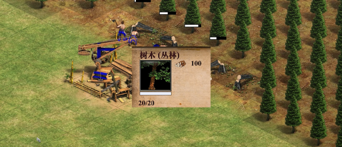 帝国时代2木材溢出怎么办1