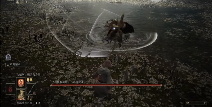 艾尔登法环水鸟怎么躲2