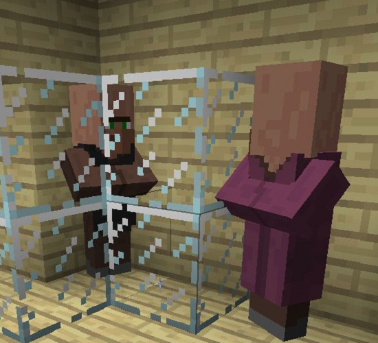 我的世界怎么抓村民回去2