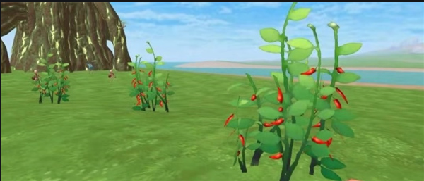 创造与魔法辣椒在哪1