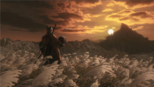 只狼打龙之归乡时要注意什么1