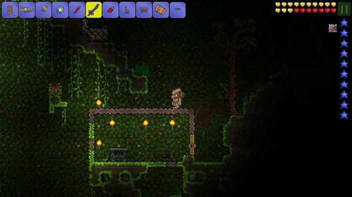 泰拉瑞亚锯木台怎么做1