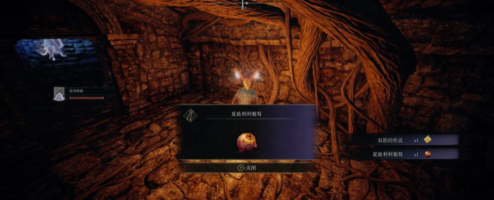 艾尔登法环盲眼少女海妲的支线任务1