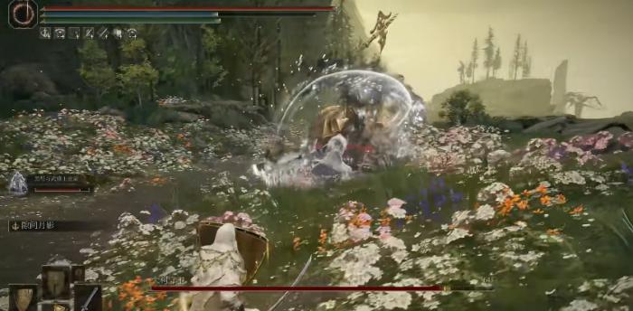 艾尔登法环能打特殊异常的骨灰有哪些2