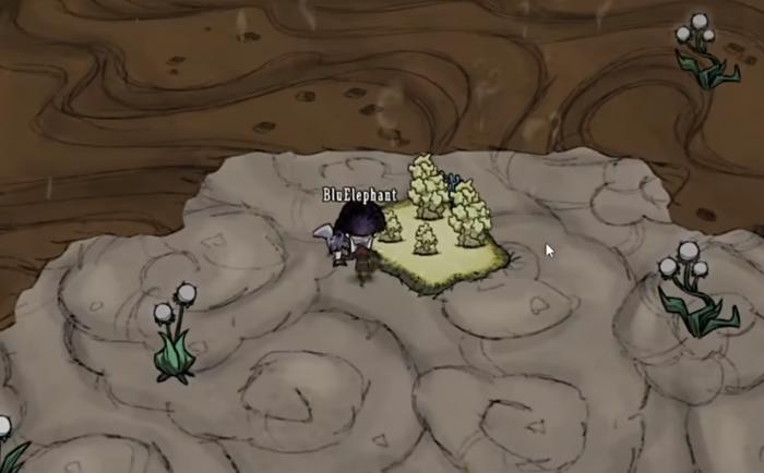 饥荒联机版蝙蝠袭击怎么发生2