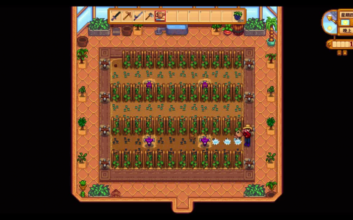 星露谷物语温室空间如何利用3