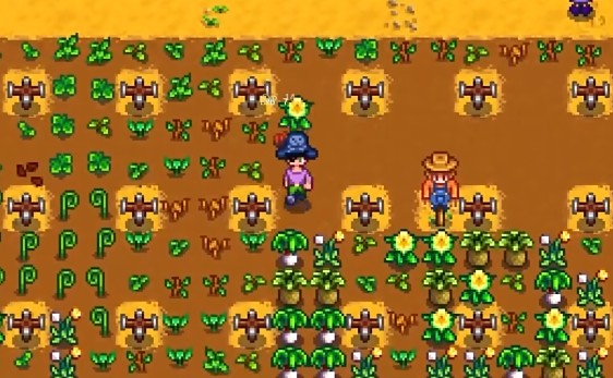 星露谷物语前期性价比高的食物有哪些2