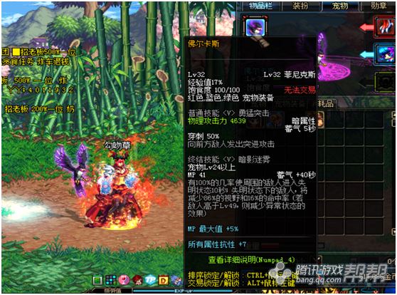 DNF特别宠物礼盒开启惊喜4