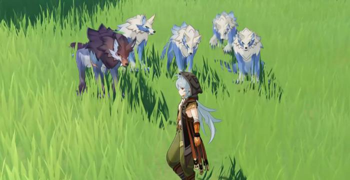 原神狼位置大全4