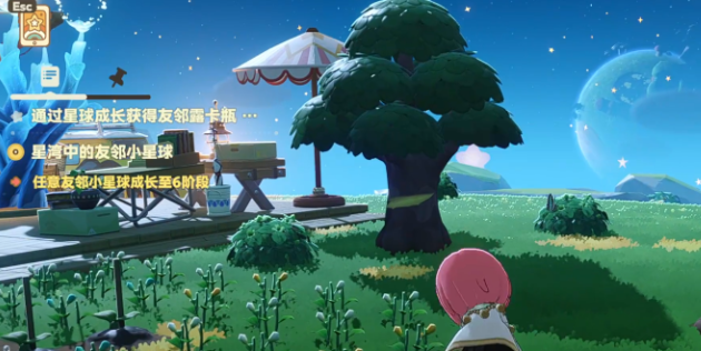 星布谷地咖啡店老板是谁4