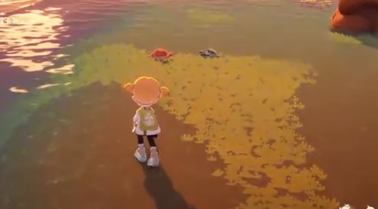 星布谷地螃蟹如何捕捉1