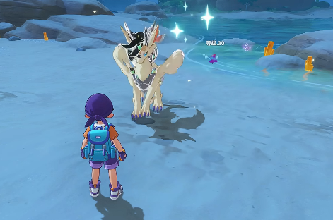 洛克王国世界翼王配队攻略3