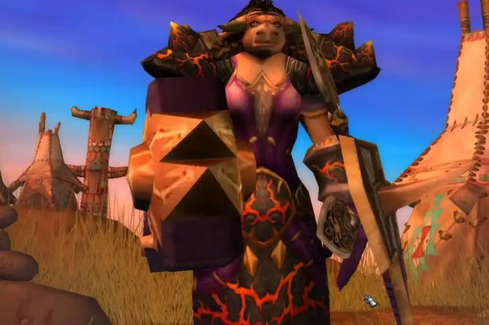 魔兽世界乌龟服是什么2