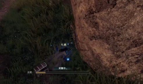 下一站江湖2天麻位置在哪2