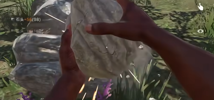 失控进化开荒指南1