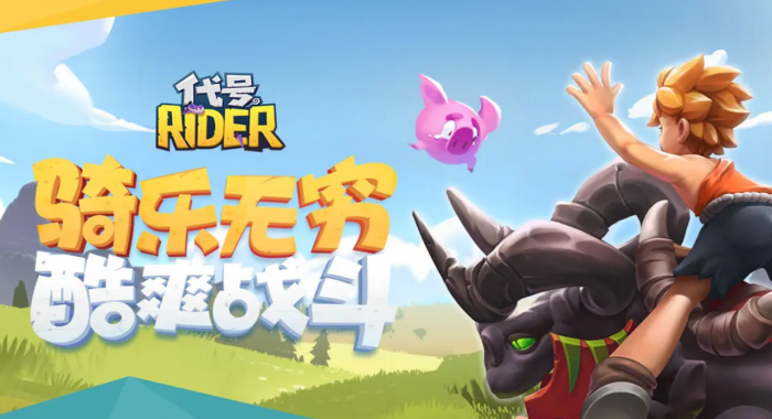 代号RIDER氪金吗1