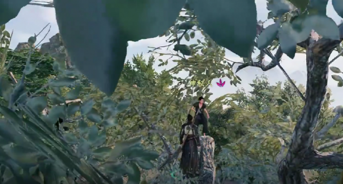 下一站江湖2天门山上任务怎么完成4