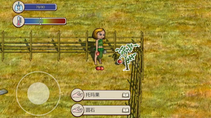 村落人生新手怎么玩2