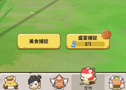 勇者联盟法师宠物用什么好3