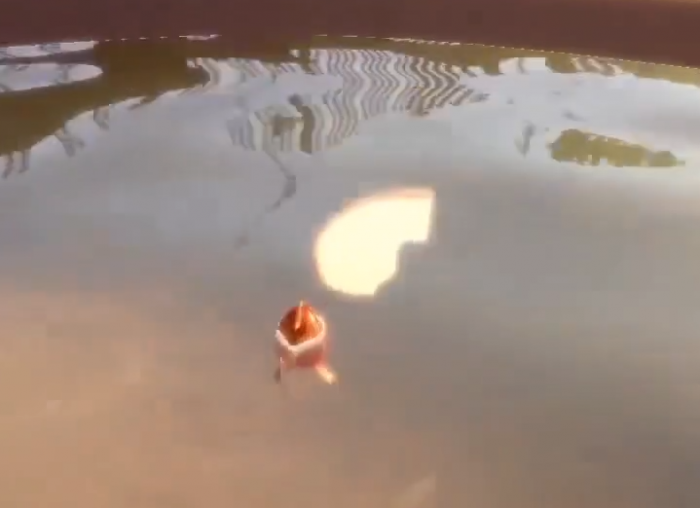 我是小鱼儿面包位置介绍2