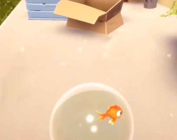 我是小鱼儿面包全收集攻略3