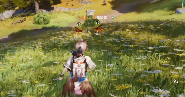 伊莫丹岩高地收集攻略1