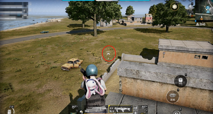 和平精英爆裂萌兔怎么样5