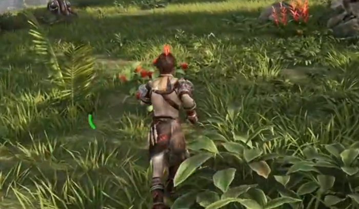 荒野起源高性价比食物有哪些5