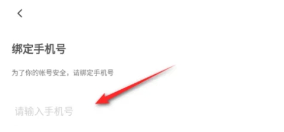 233乐园怎么绑定手机号5