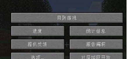 我的世界java版怎么远程联机2