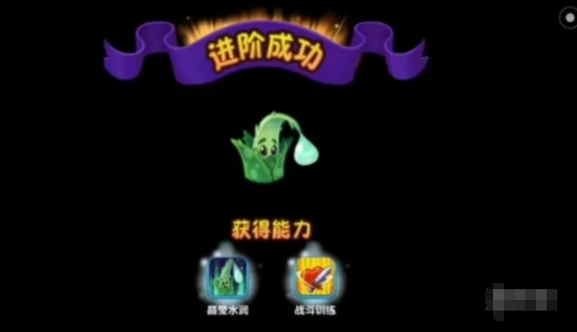 植物大战僵尸2怎么进阶植物3