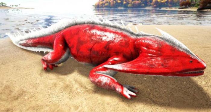 方舟生存进化盗首螈有什么作用1