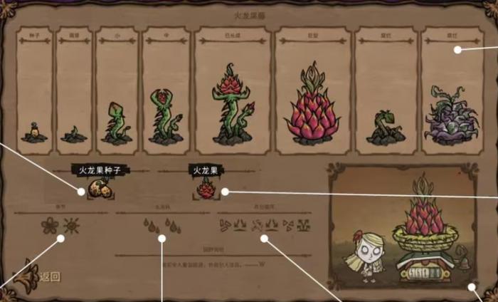 饥荒耕作先驱帽怎么用2