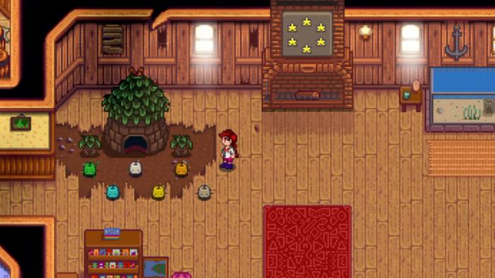 星露谷物语夏季能完成的收集包有哪些_星露谷物语季节收集包