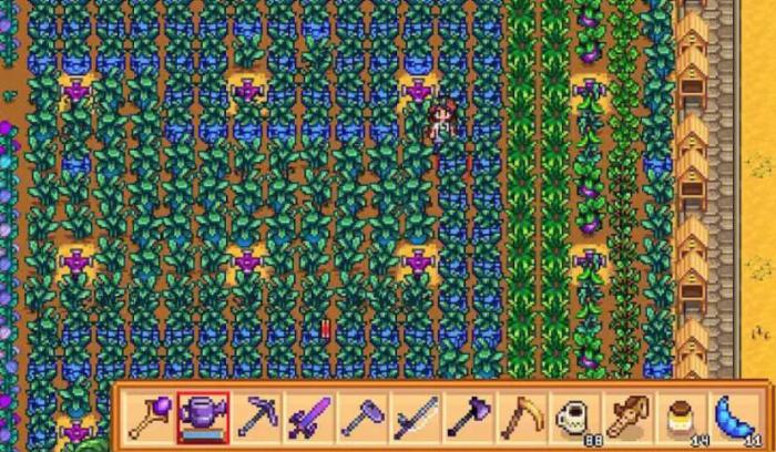 星露谷物语齐先生的作物怎么完成_星露谷物语联机版