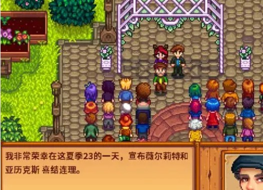 星露谷物语如何和亚历克斯结婚1