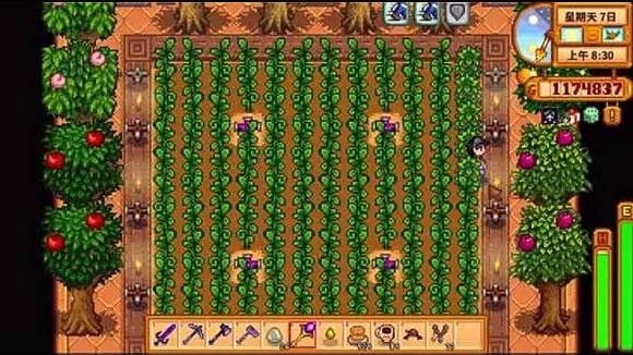 星露谷物语齐瓜如何种植_星露谷物语齐瓜怎么售出没用