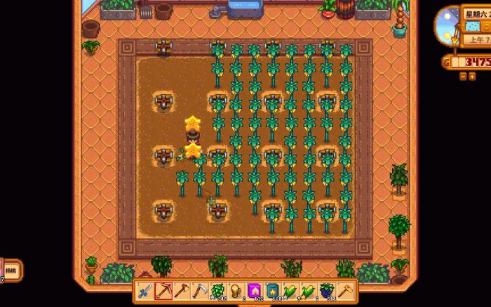 星露谷物语如何双排种植1