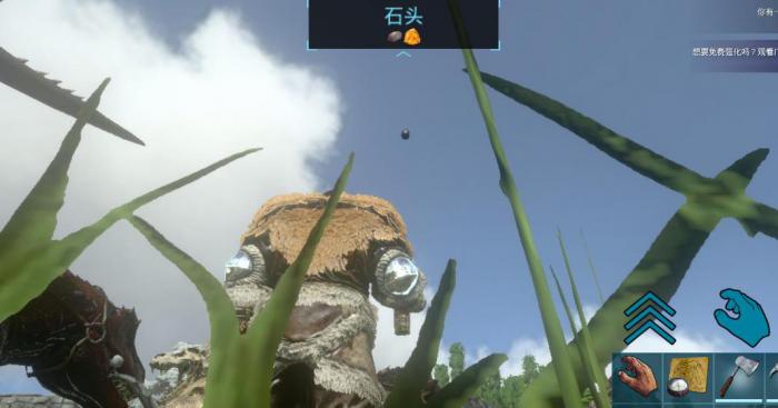 方舟生存进化萌新生存技巧是什么3