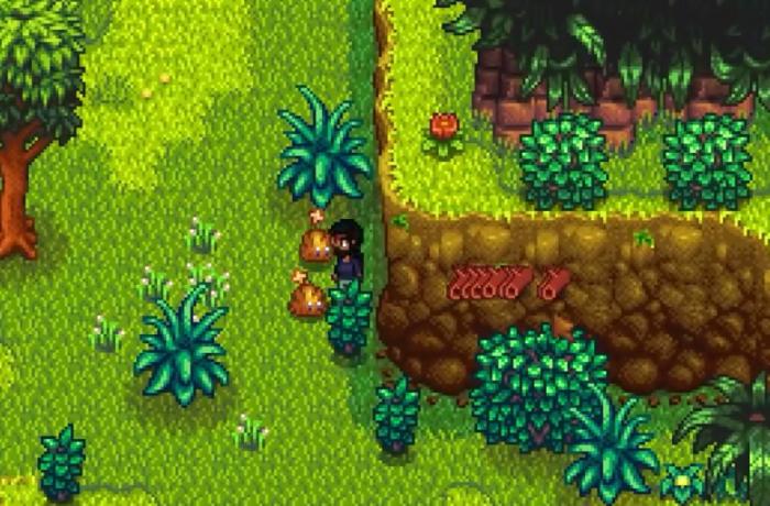 星露谷物语哪里有卖硬木2