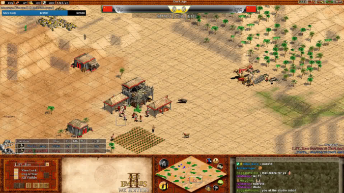 帝国时代2中国的后期玩法怎么玩1