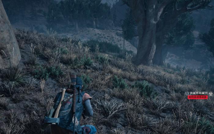 往日不再哪个营地最豪华3