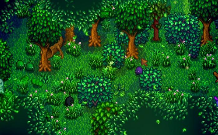 星露谷物语神秘森林怎么进去2