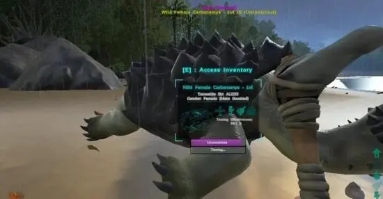 方舟生存进化如何快速驯龙2