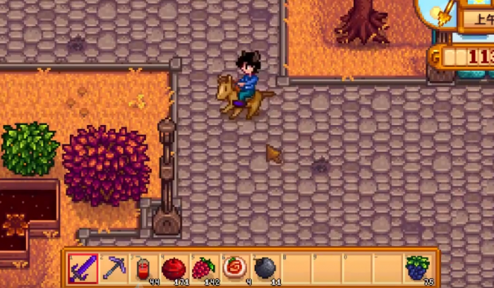 星露谷物语海莉的最爱是什么2