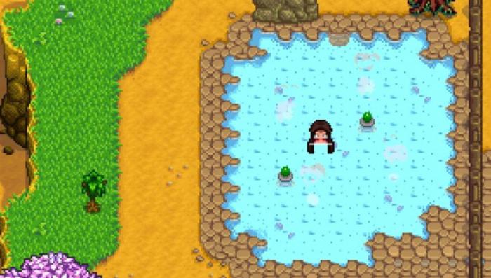 星露谷物语的温泉有什么作用_星露谷物语联机版