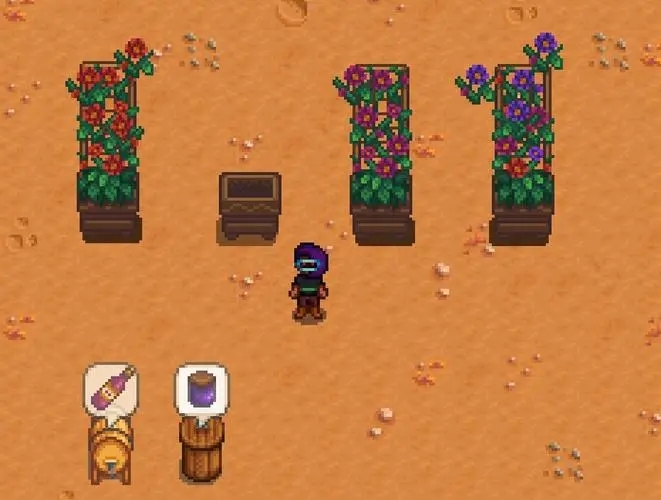 星露谷物语夏天种什么花1