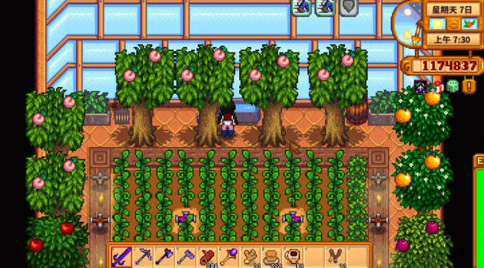 星露谷物语夏天种什么花3