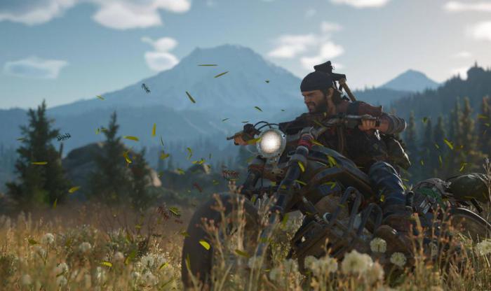 往日不再野莓在哪收集3